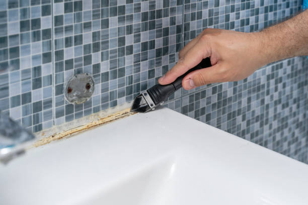 Best Mold Remediation  in Buffalo, SC