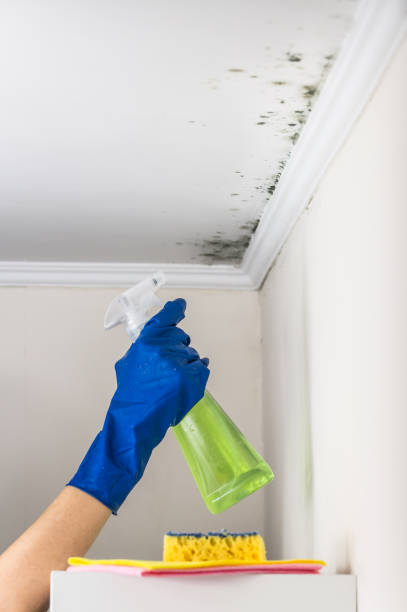 Water Damage Restoration in Buffalo, SC